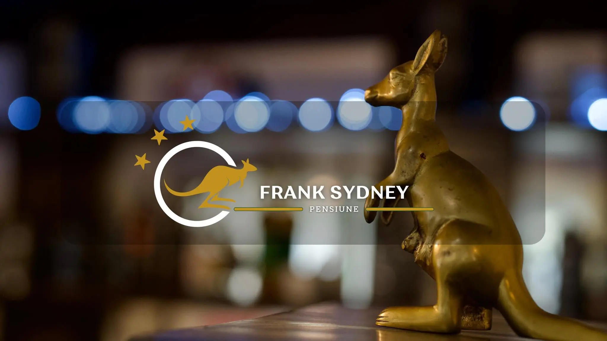 Interno Pensione Frank Sydney Timișoara